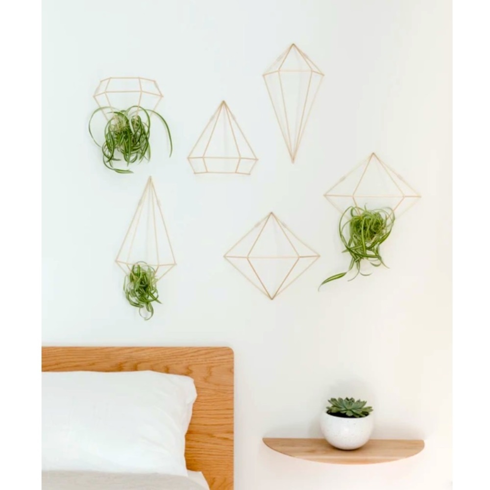 💎 NEW Umbra Wall Decor